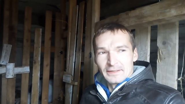 Кормление коз дровами) смотреть онлайн