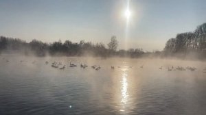 Влог Поездка Зимняя красота Алтайский край Лебединое ? озеро Советский район Озеро Светлое