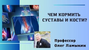 Чем кормить суставы? Проф. Ламыкин О.Д.