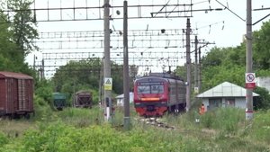 Электропоезд ЭД9Э-0014 сообщением Моховые Горы - Мыза прибывает на станцию Мыза