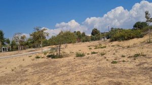 обзор на блогера Женя Эванс