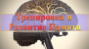 Медитация и Тета Волны для Тренировки и Развития Памяти