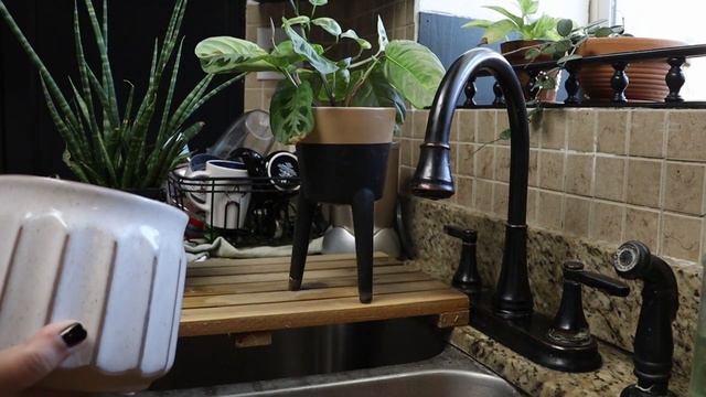 Cozy Plant Chores + Planting My Peach & Lime Trees + Offering Mental Health Coaching | Vlog смотреть онлайн