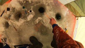 Рыбалка в Кольчугино. Кольчугинское водохранилище.  Разведка новых мест.