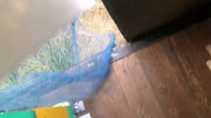 Нежданчик! Пчелы грызут под лётками новые улья