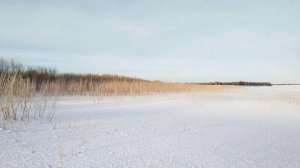 Конец Января Зимняя прогулка на лыжах.