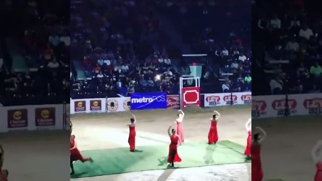 Toro dance Contemporary Flamenco смотреть онлайн
