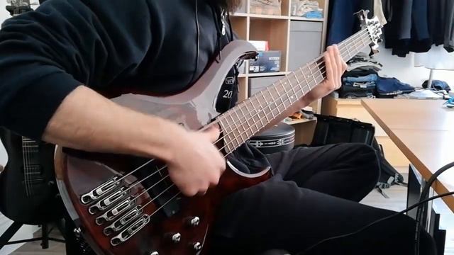 Their Dogs Were Astronauts - Unholy Aura // Bass cover // Ibanez BTB смотреть онлайн