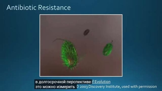 3. Микроэволюция против макроэволюции, Часть 2 | Введение в разумный дизайн. Русский автоперевод