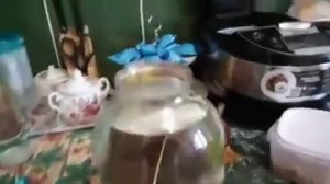 Просто,аквариум из банки.