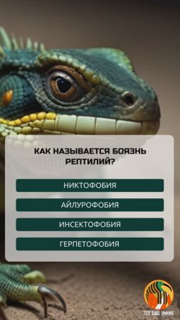 Как называется боязнь рептилий?