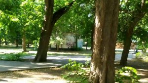 Таганрог. Парк культуры и отдыха имени М.Горького / Russia, Rostov region, Taganrog. Gorky park.