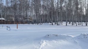 Белые Росы