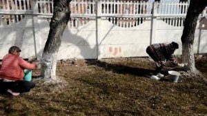 Субботник. ГБОУ СО «Колчеданская школа-интернат»