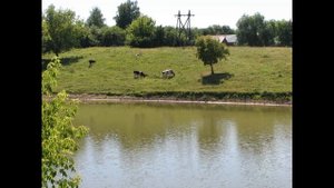 Боринское (Липецкая область)