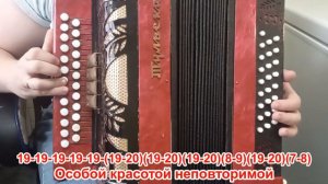 ВСЕ ЖЕНЩИНЫ ПОХОЖИ НА ЦВЕТЫ / Разбор на гармони по цифрам