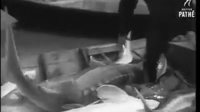 Рыболовная артель в СССР смотреть онлайн