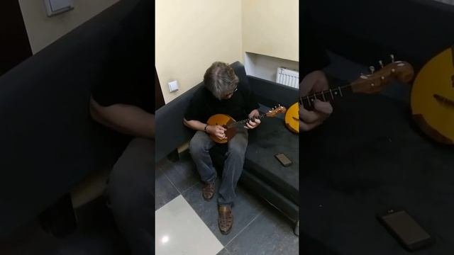 Мастеровые домры, только что изготовленные