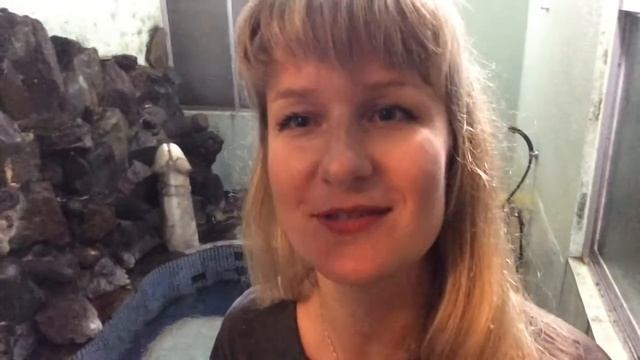 ?? Японский отель смотреть онлайн