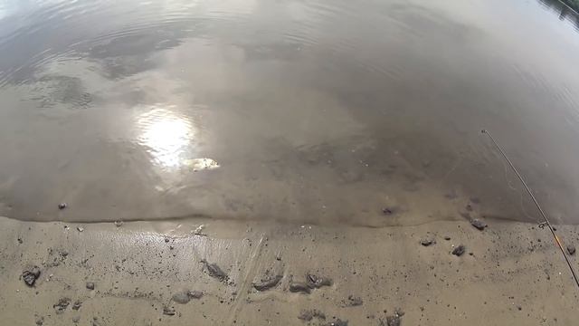 Рыбалка на кормаки,ведро рыбы за пол дня(ДР) смотреть онлайн