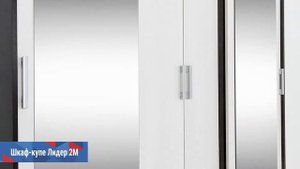 Шкаф-купе 4Д Лидер 2М в деталях