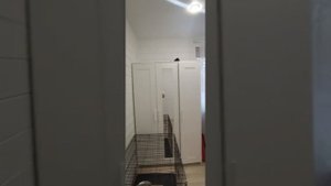 Продаётся дом в самом городе Чехов с мебелью техникой и облагороженным участком! 89266162915 Ольга