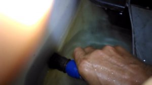 Инкубация икры клариевого сома 2 часть! The incubation of eggs cleavage catfish part 2