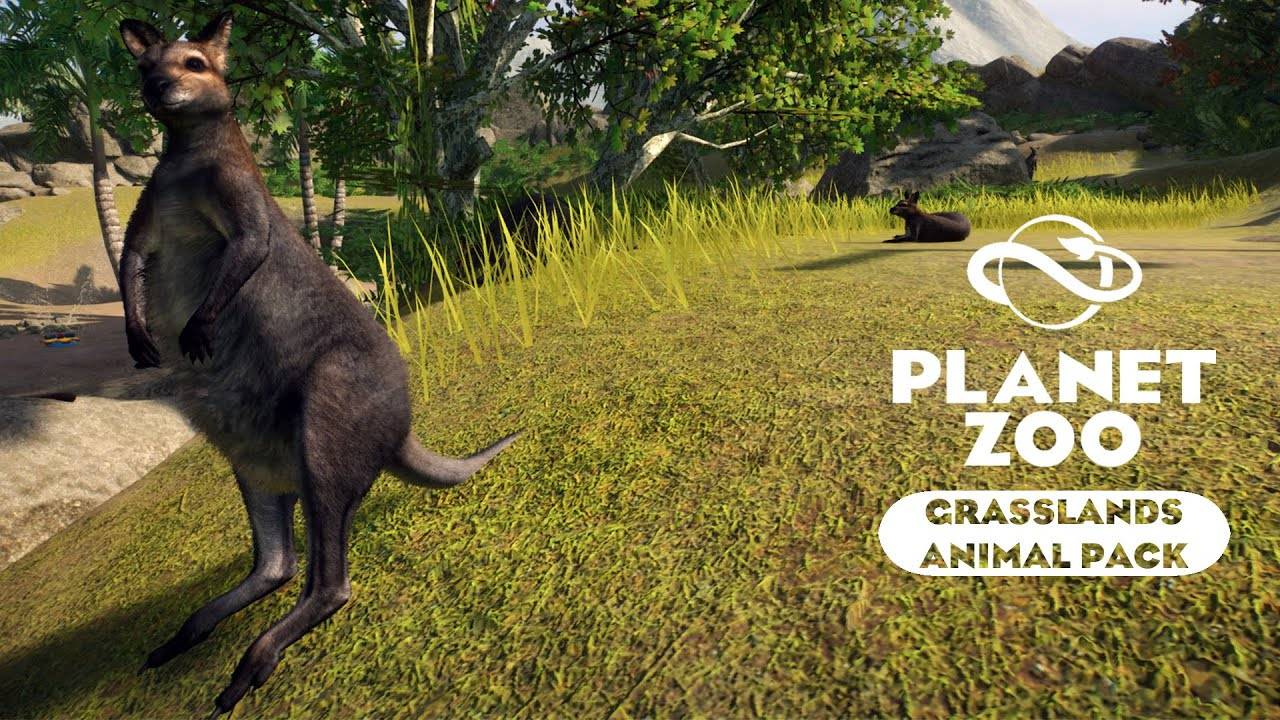 Planet Zoo: Grasslands Animal Pack - Рыже-серый валлаби