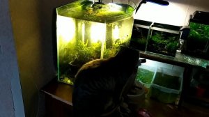 YouCut_20230819_163013923.mp4