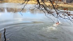 Купание осенью в ноябре