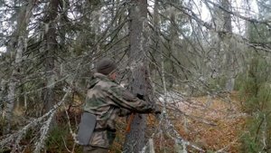 Лесная изба. 14 Дней в тайге. Вездеход. Жизнь в Лесу. Добрые походы