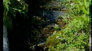 Саранковая Родина.с.Ярцево.