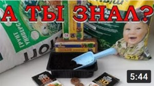 Что лучше для рассады: ГРУНТ, СУБСТРАТ или ТАБЛЕТКИ?