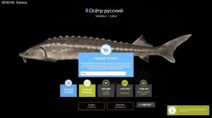 русская рыбалка 4 редкий трофей осётр русский #лайк #рекомендации #shorts