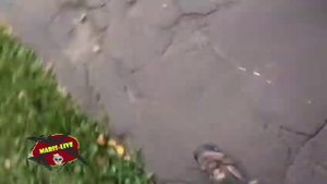 ВАЗ 2108 ГЛОХНЕТ НА ХОДУ