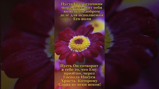 Благословенной недели! Христианское пожелание! смотреть онлайн