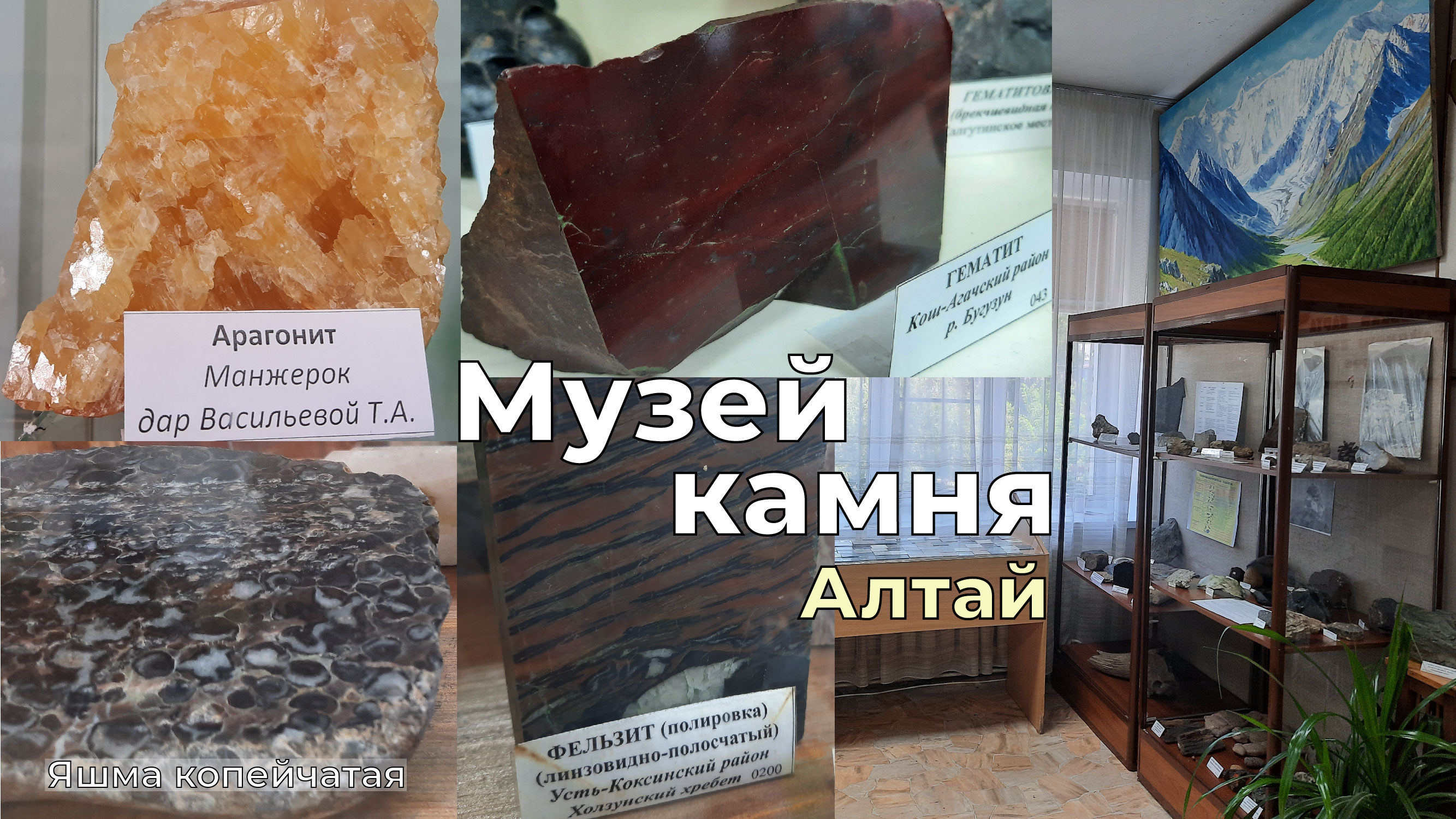 Музей камня. Алтай. Минералы, горные породы. Как добиралась до музея, что интересного есть