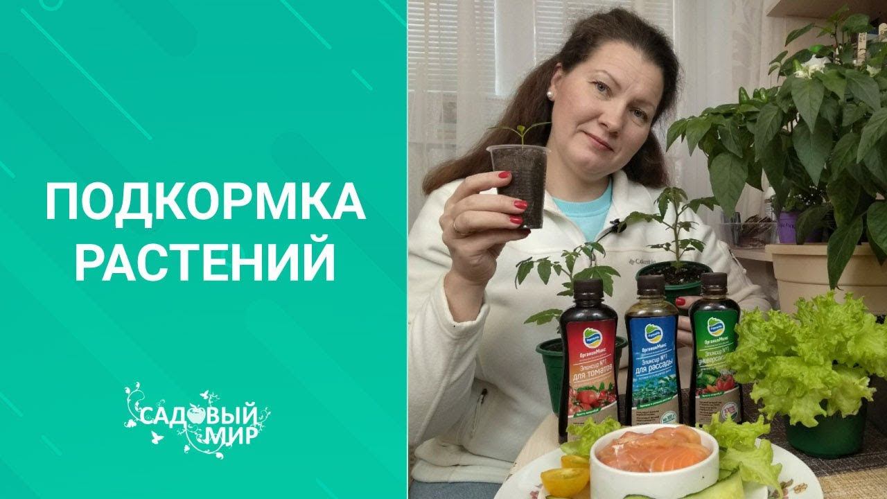 100% органические подкормки для томатов и огурцов. Кормите любимых только натуральным! смотреть онлайн
