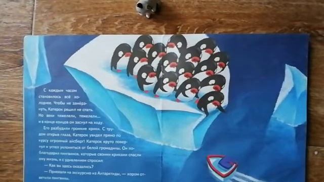 Катерок Арктика