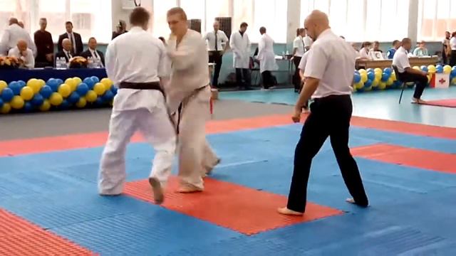 Мартынович Ярослав - Гарвард Эдуард "Fighters Cup 2017" смотреть онлайн