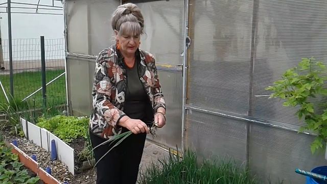 Огород ,12 мая .Подвязка растений. смотреть онлайн