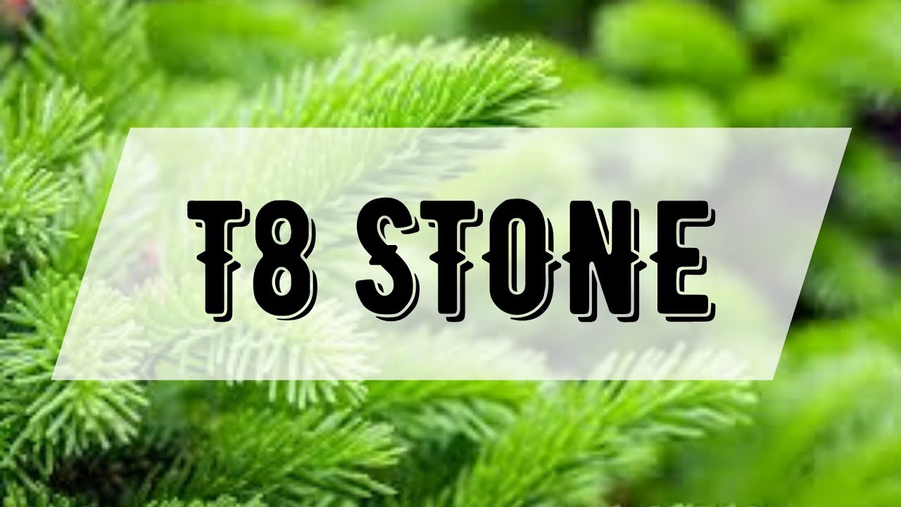 8 stones. T8 Stone. Т8 Стоун. T8 Stone картинка.