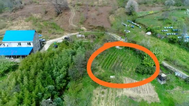Купить  участок в Адлере|Продажа участка с видом на море|Сочи Солнечный центр|8 800 302 9550