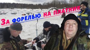 Ловля форели на платнике на поставушки и актив