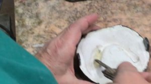 Замена воска на пластмассу. Гипсовка. Полимеризация. Отделка съёмных протезов