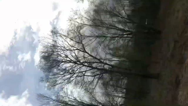 Пошли на холм где пропадают люди! (нет) смотреть онлайн