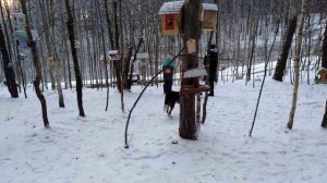Нефтекамск. Птичьи кормушки зимой.