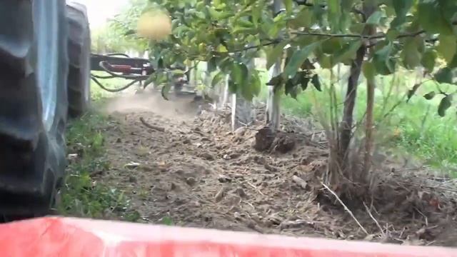 Приствольная Фреза для Садов Виноградников.mp4 смотреть онлайн