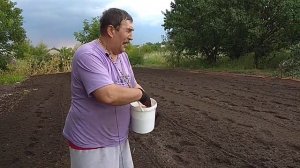 03.09.2021. Посев горчицы после уборки картошки.