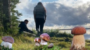 Тихая охота, жарим шашлык из грибов и овощей на берегу озера